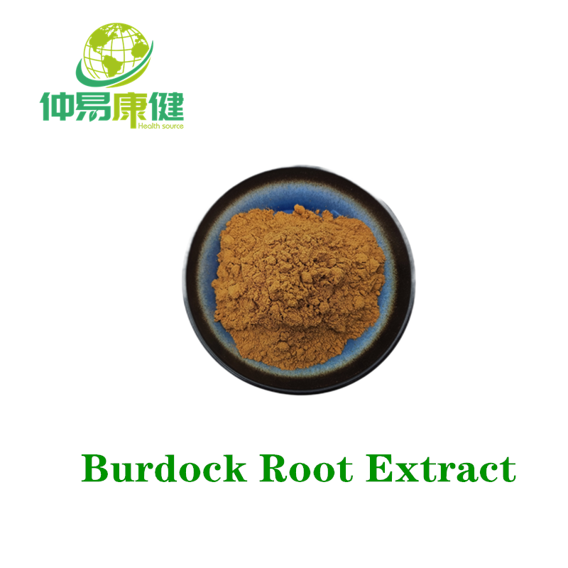 Burdock Root Extract