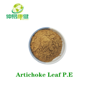 Artichoke Leaf P.E